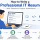 professional IT resume